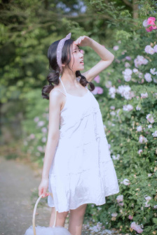 七仙女电影